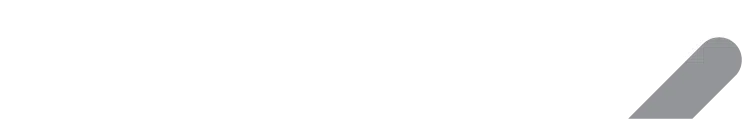 Salute logo